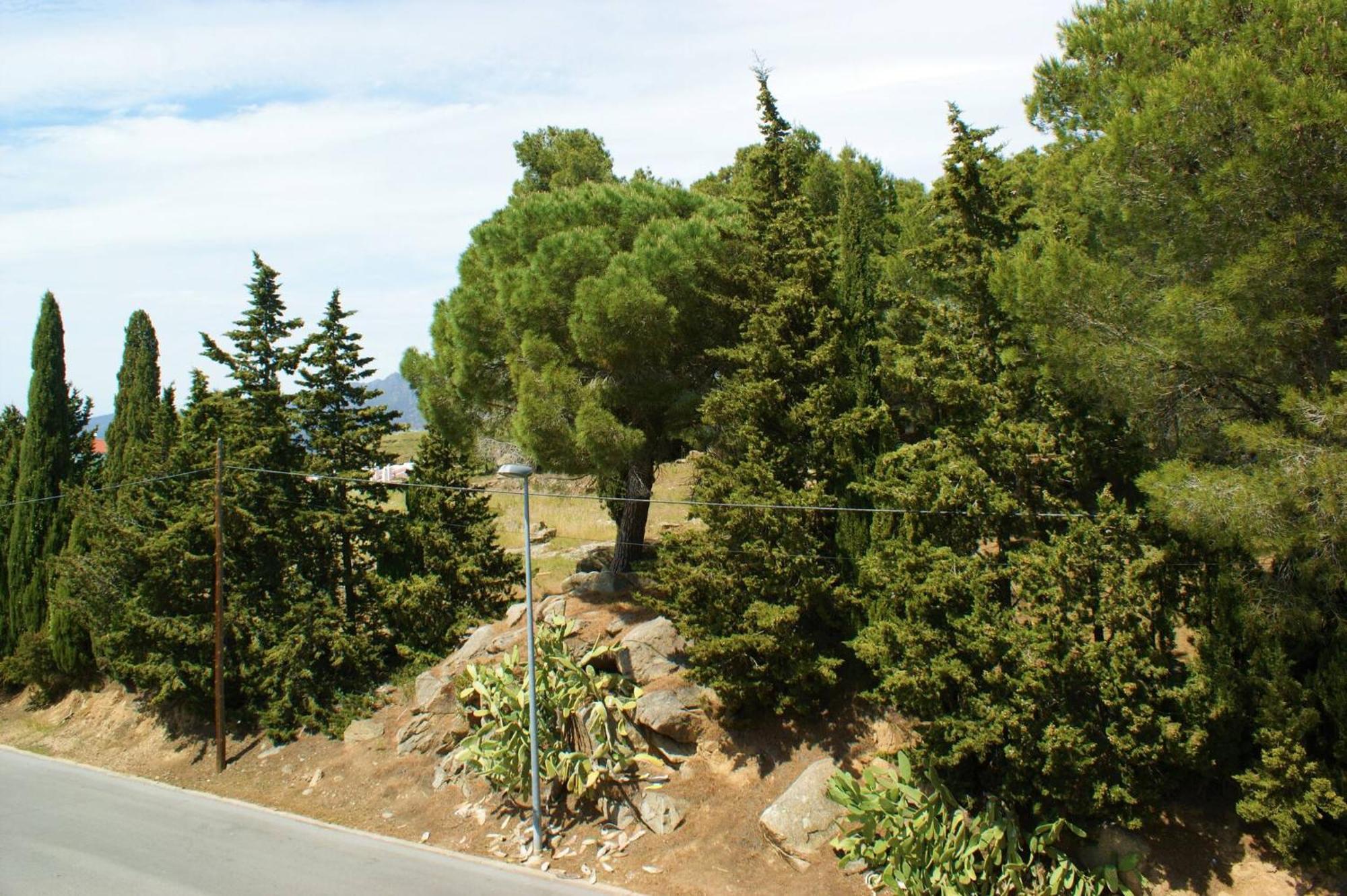 Apartamento En Roses Parking Y Piscina Comunitaria מראה חיצוני תמונה
